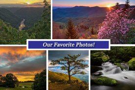 ff522380-3bf9-11e7-ac1f-0aea2a882f79-Collage