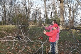 Eli and Elaine pick persimmons from a neighbor’s backyard tree that had fallen.