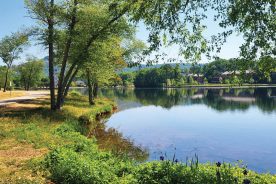Swan Lake was one of the first features built on Furman’s current campus in the mid-1950s. Photo courtesy of Leonard M. and Laurie Adkins